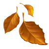 تخفیفات پاییزی
