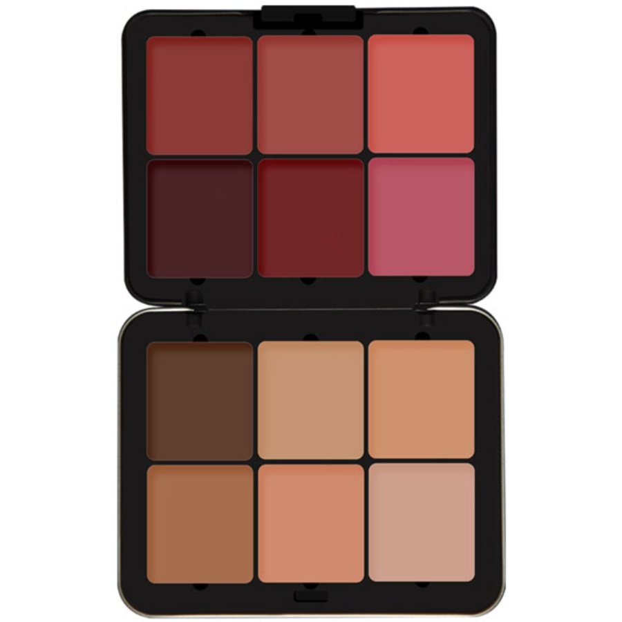 پالت کانتور و رژگونه فیوچر میکاپ 12 رنگ