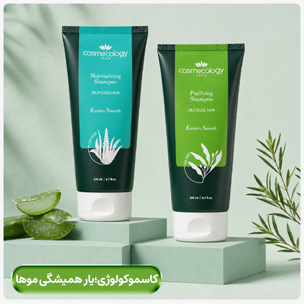 advertisment3