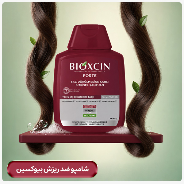 advertisment2
