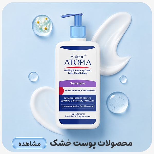 advertisment2