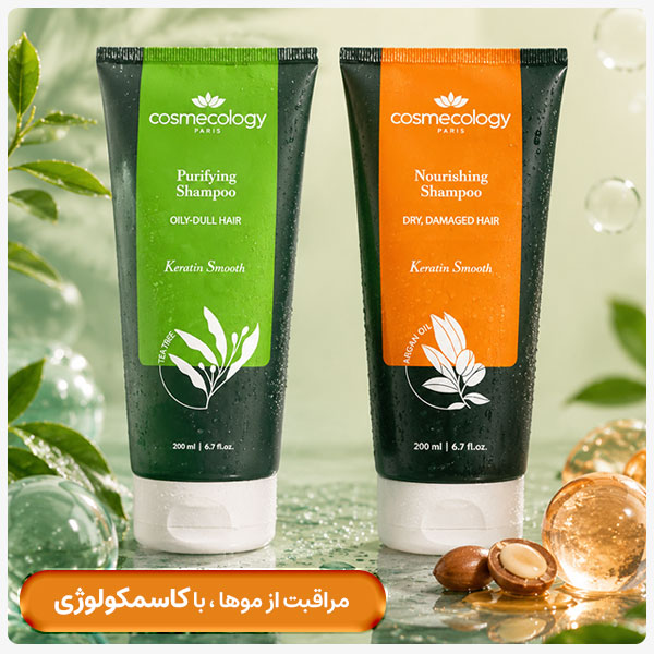 advertisment4